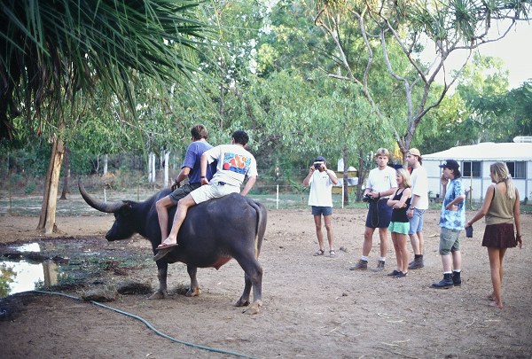  ... doesn't object to a few tourist's riding on him. Photo: L. Bobke